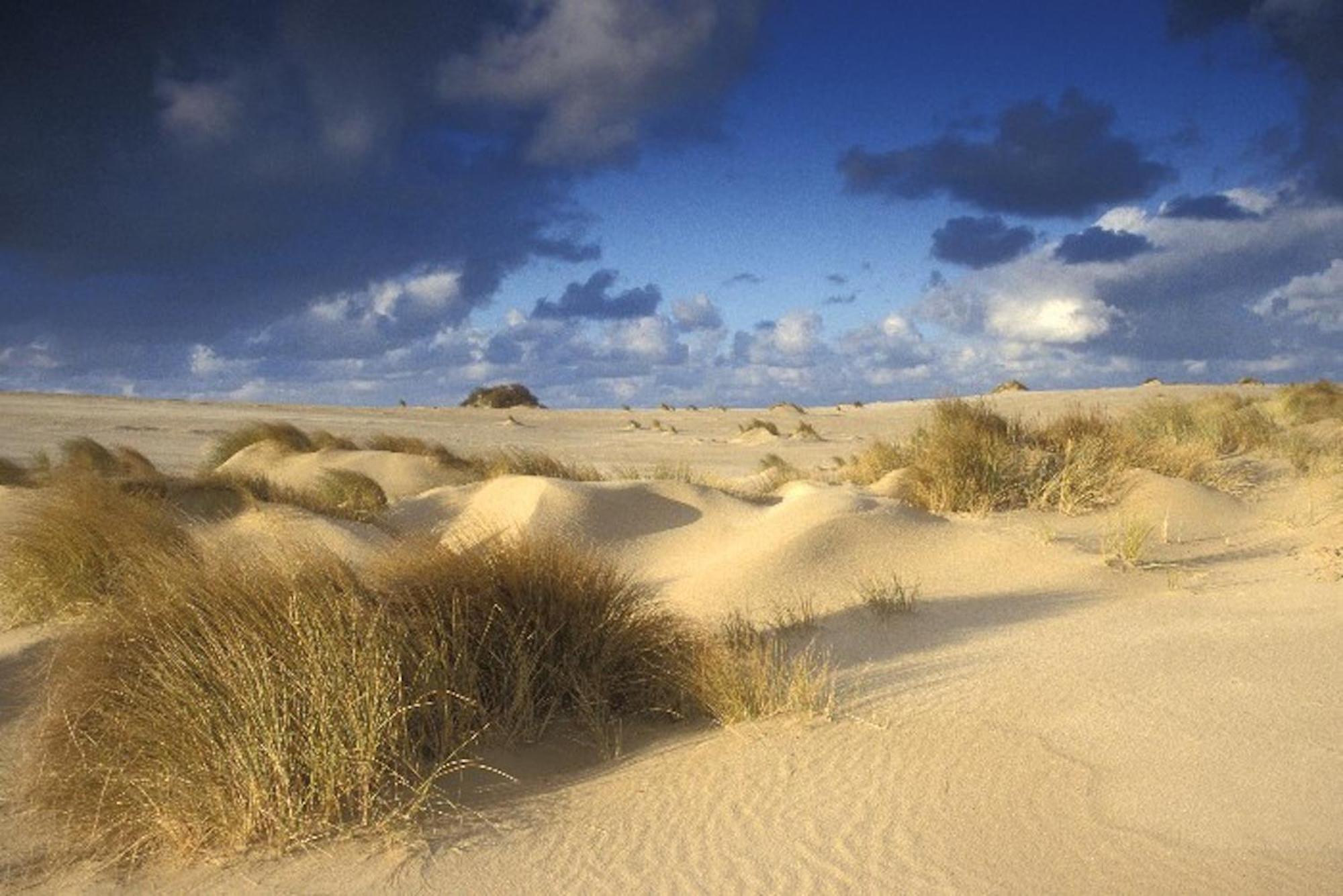 Ara Dune Hotel De Panne Luaran gambar